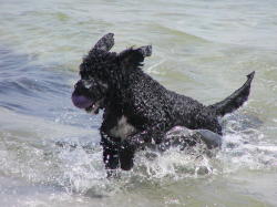 Emma bij de noordzee