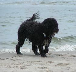 Emma bij de noordzee